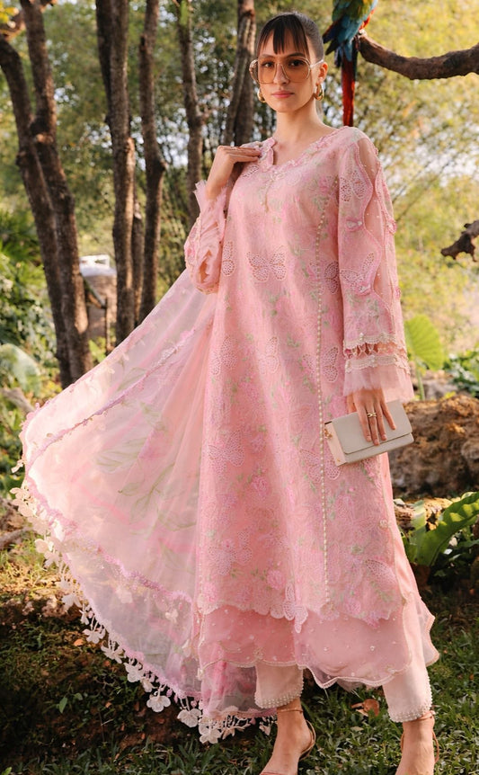 Maria .B 6016 P